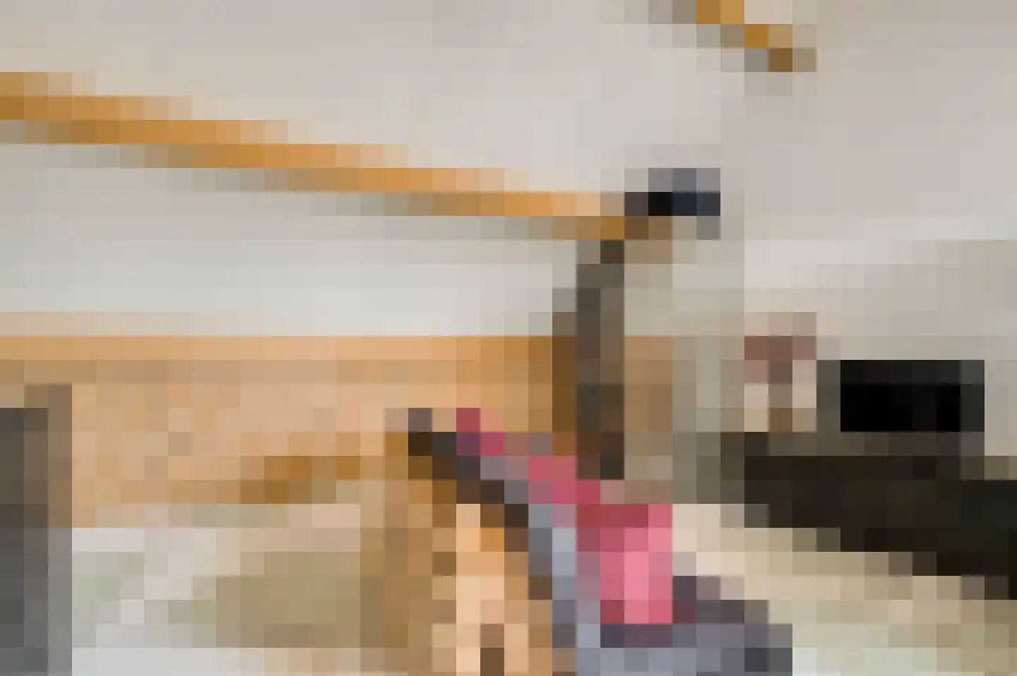 Vestesingel 26 Herten thumbnail 34