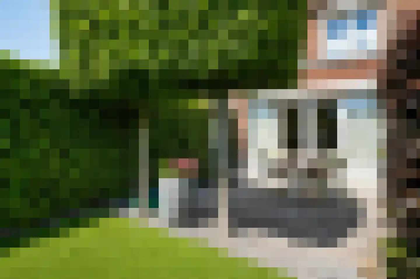 Vestesingel 26 Herten thumbnail 35