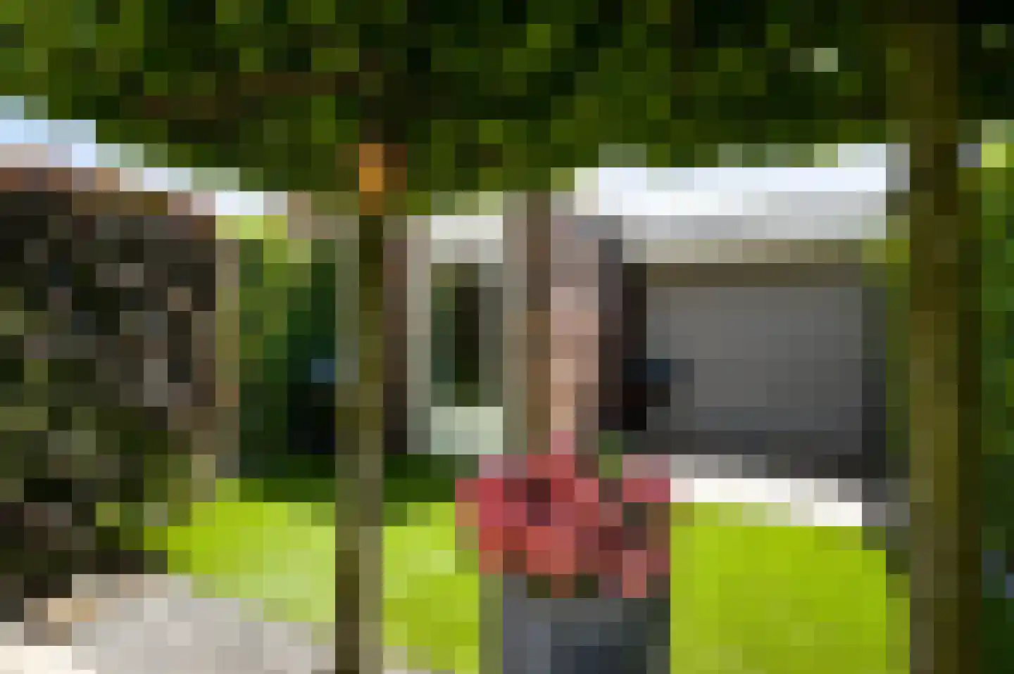 Vestesingel 26 Herten thumbnail 37