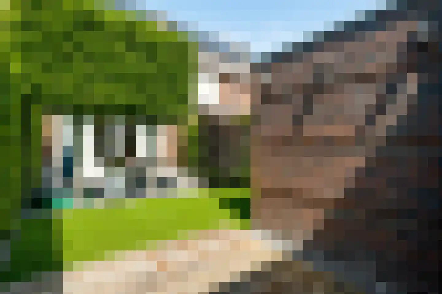 Vestesingel 26 Herten thumbnail 38