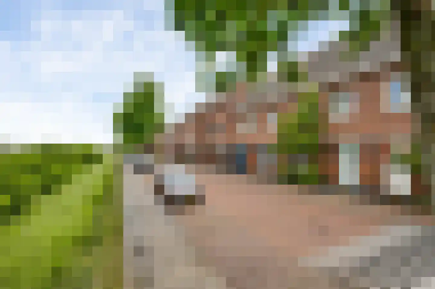 Vestesingel 26 Herten thumbnail 50