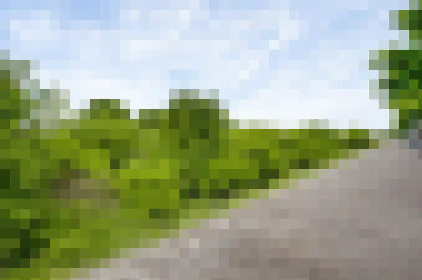 Vestesingel 26 Herten thumbnail 51