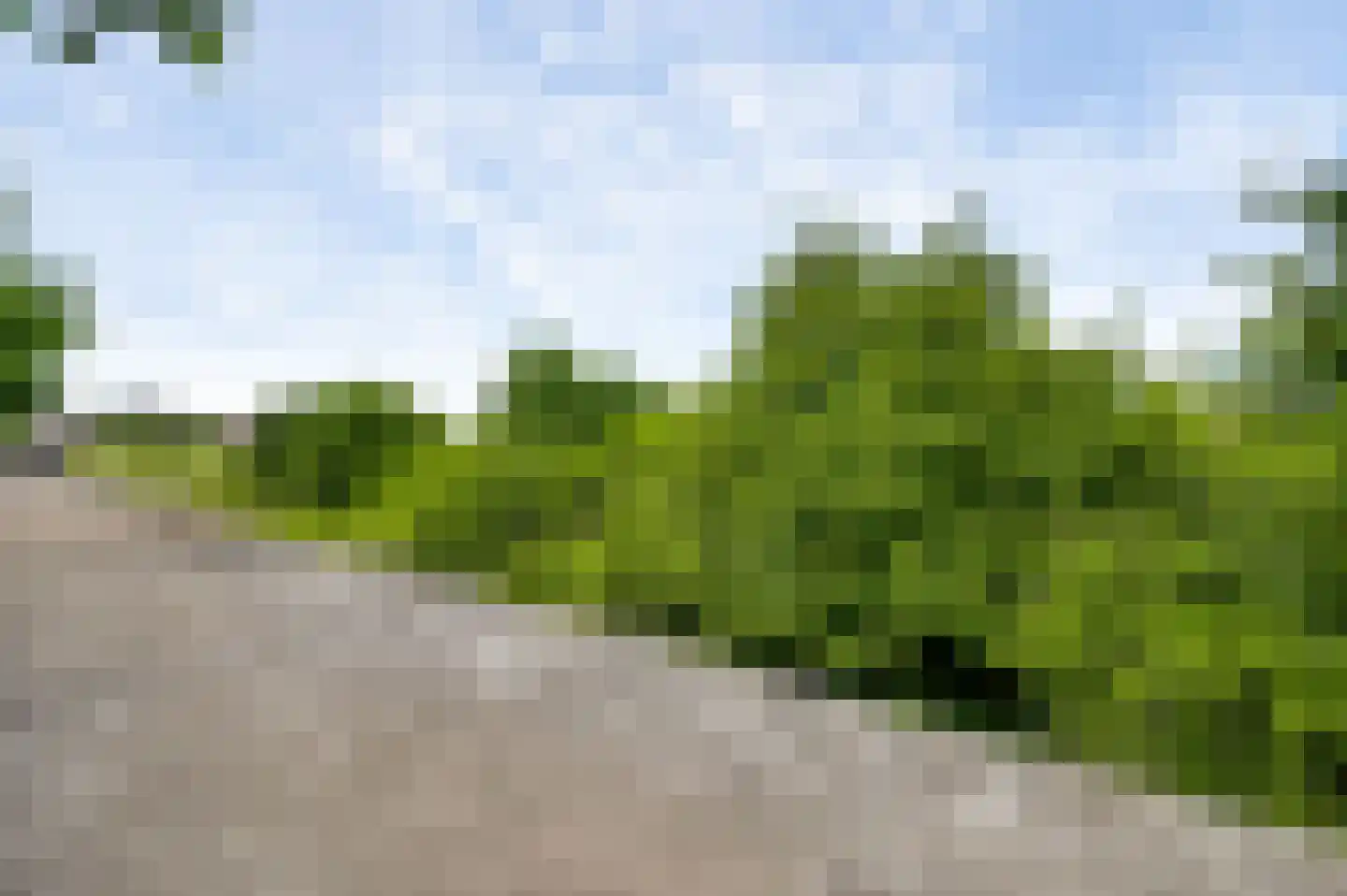 Vestesingel 26 Herten thumbnail 52