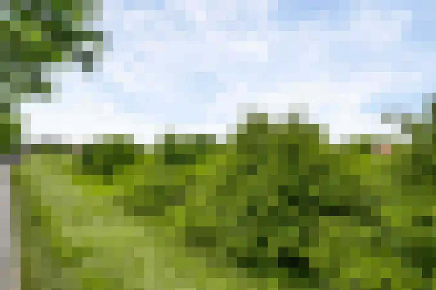 Vestesingel 26 Herten thumbnail 7