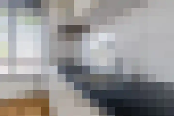 Vestesingel 29 Herten thumbnail 11