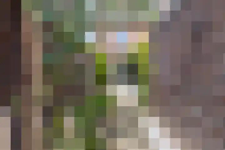 Vestesingel 29 Herten thumbnail 32