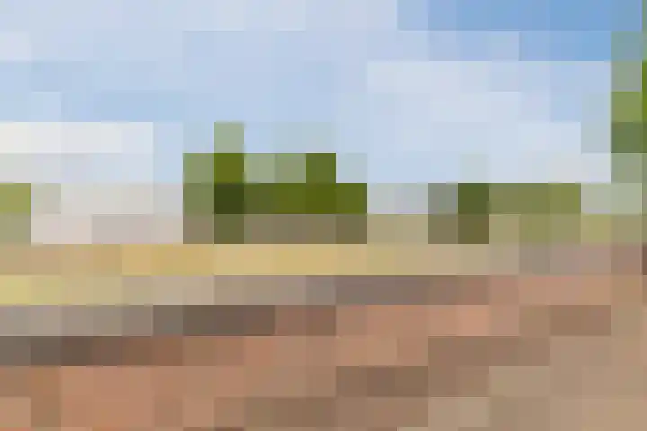 Vestesingel 29 Herten thumbnail 36