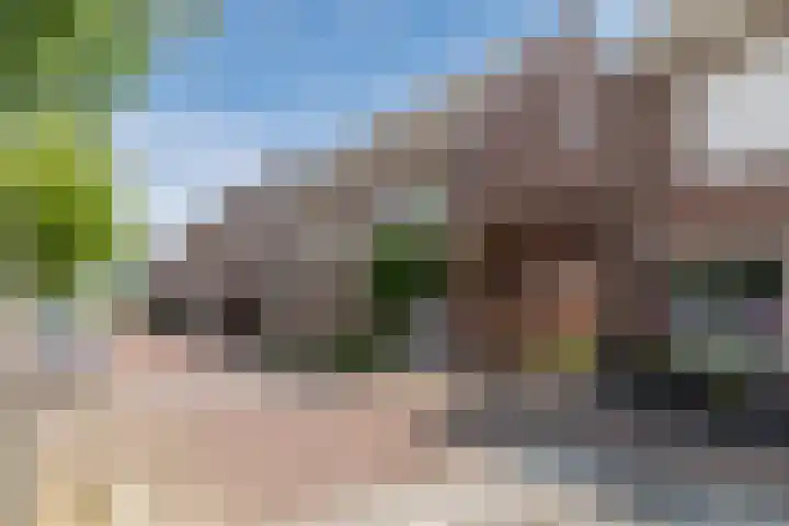 Vestesingel 29 Herten thumbnail 37