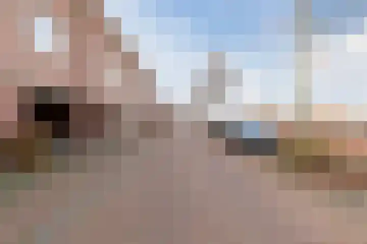 Vestesingel 35 Herten thumbnail 40