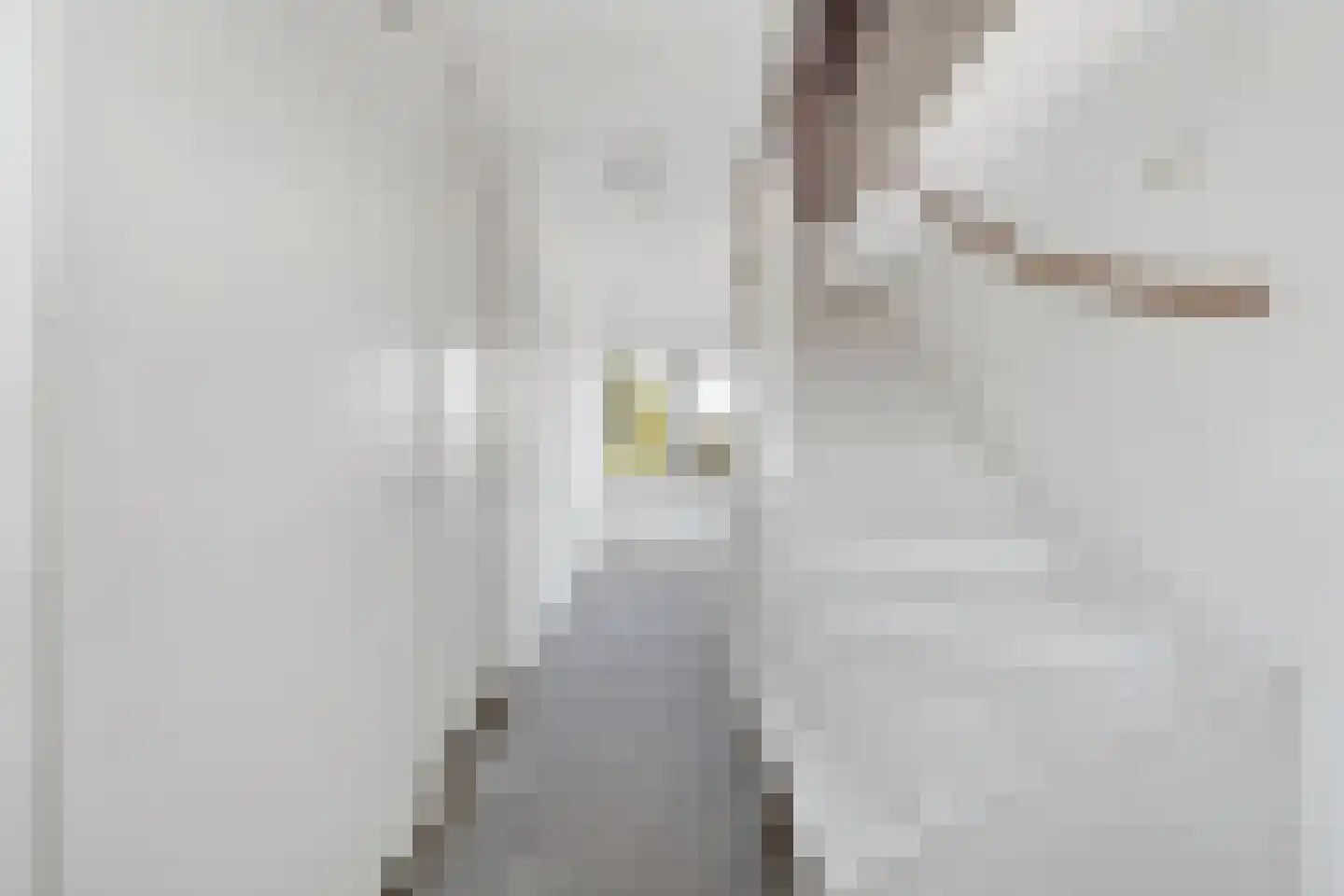 Vestesingel 37 Herten thumbnail 24