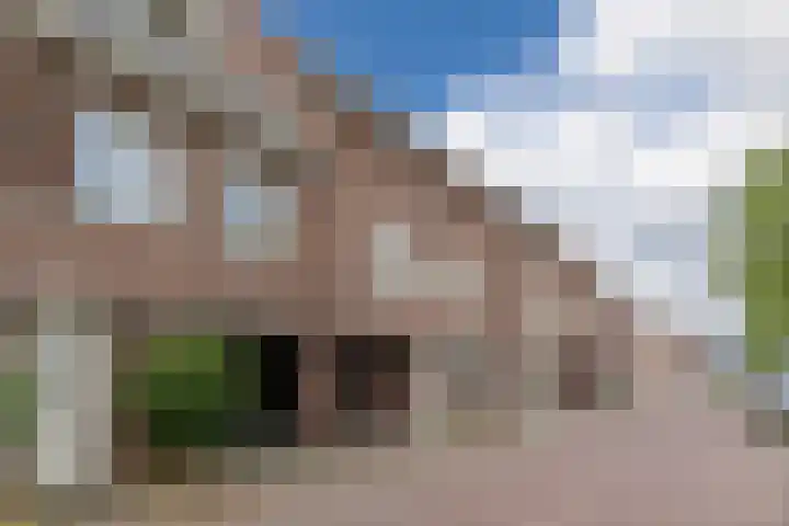 Vestesingel 5 Herten thumbnail 38