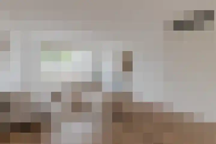 Vestesingel 5 Herten thumbnail 6