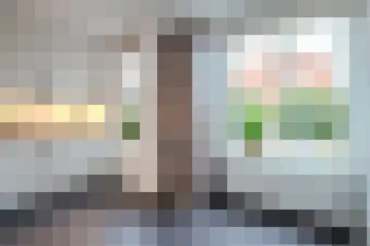 Vestesingel 51 Herten thumbnail 14