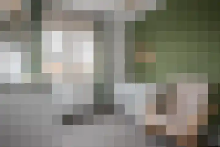 Vestesingel 51 Herten thumbnail 22