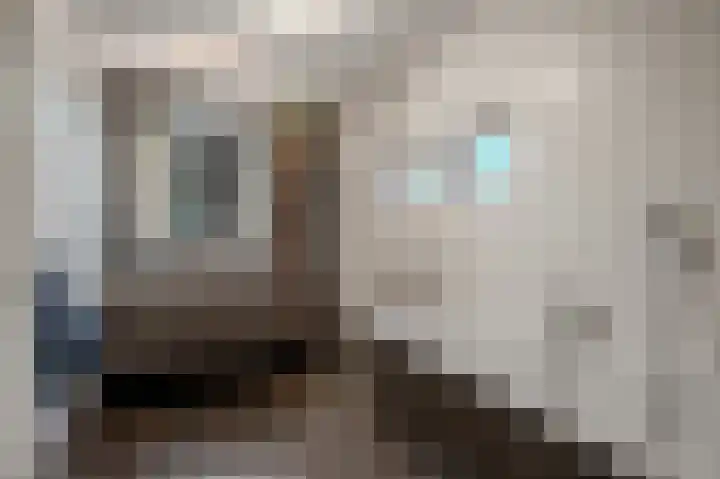 Vestesingel 51 Herten thumbnail 23