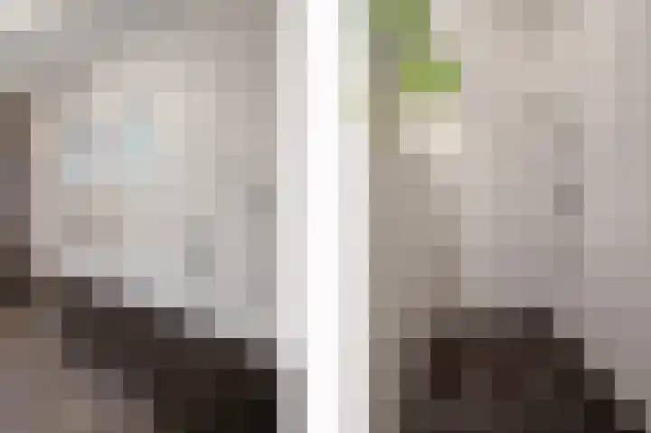 Vestesingel 51 Herten thumbnail 24
