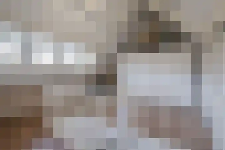 Vestesingel 51 Herten thumbnail 25