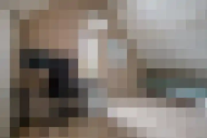 Vestesingel 51 Herten thumbnail 27