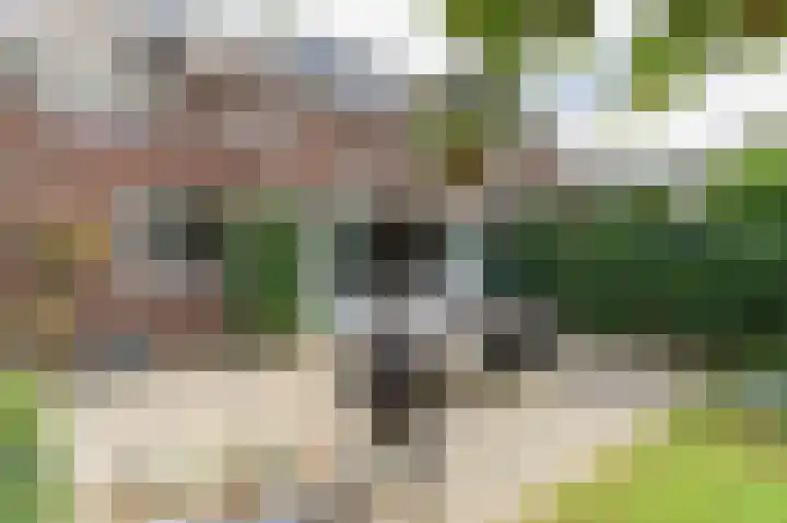Vestesingel 55 Herten thumbnail 10