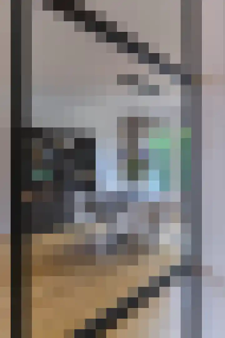 Vestesingel 55 Herten thumbnail 13