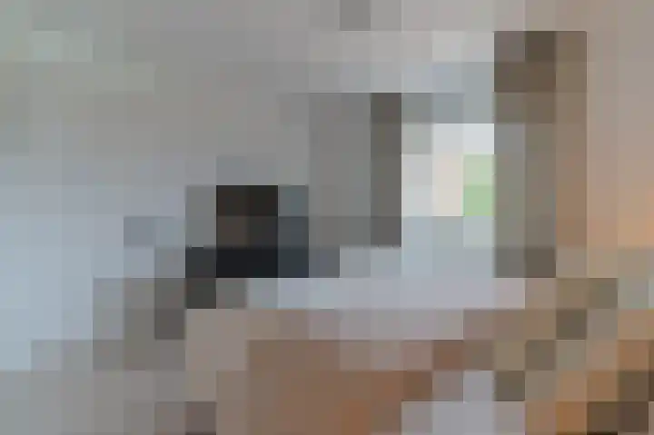 Vestesingel 55 Herten thumbnail 28
