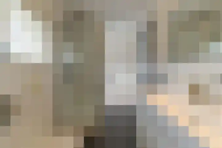 Vestesingel 55 Herten thumbnail 32