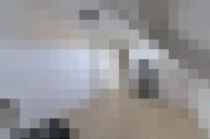 Vestesingel 55 Herten thumbnail 42