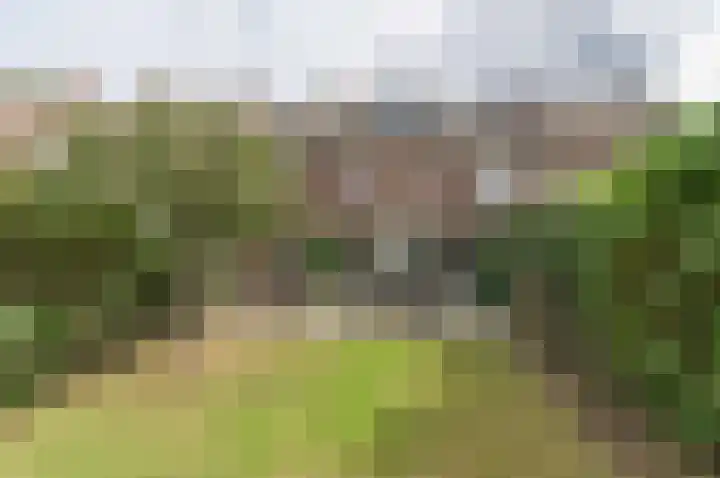 Vestesingel 55 Herten thumbnail 43