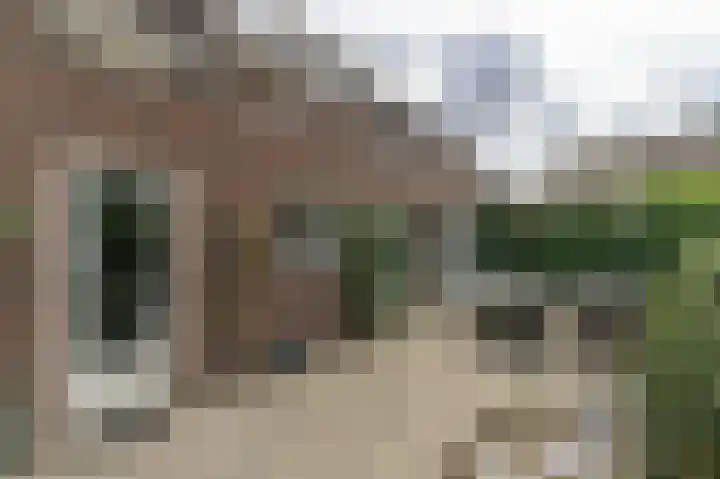 Vestesingel 55 Herten thumbnail 44