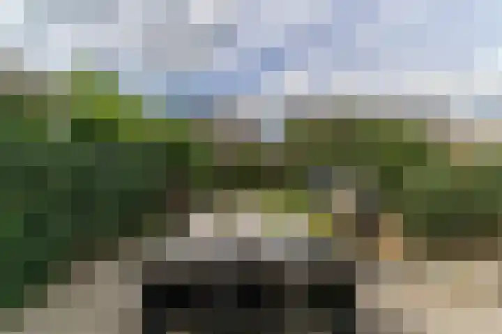 Vestesingel 55 Herten thumbnail 46