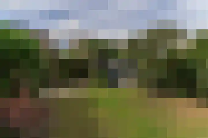 Vestesingel 55 Herten thumbnail 47