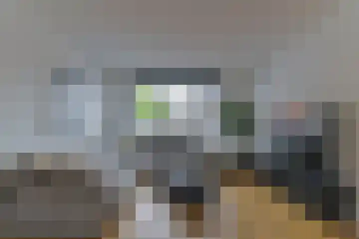 Vestesingel 55 Herten thumbnail 7