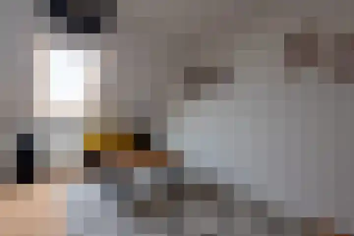 Vestesingel 68 Assen thumbnail 35
