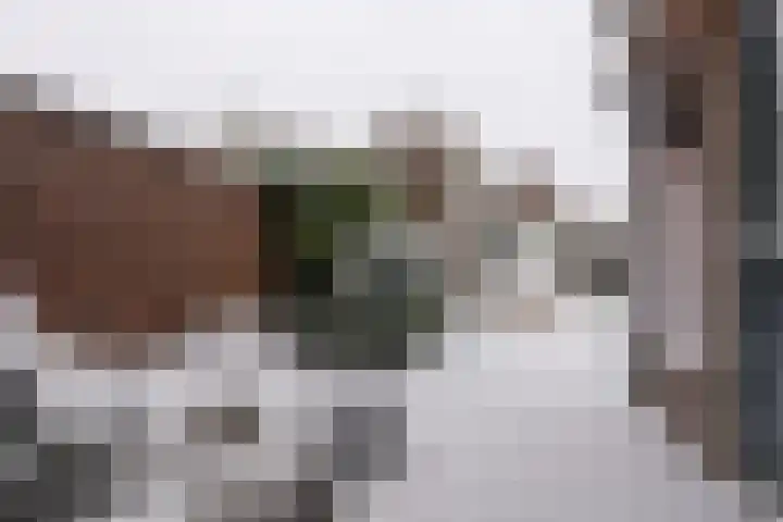 Vestesingel 68 Assen thumbnail 38