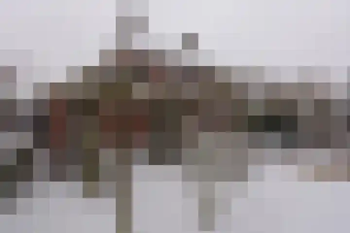 Vestesingel 68 Assen thumbnail 39