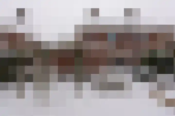 Vestesingel 68 Assen thumbnail 40