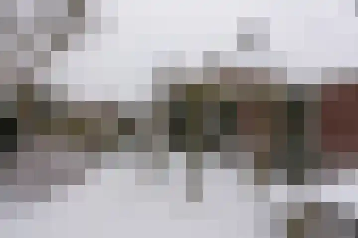 Vestesingel 68 Assen thumbnail 41