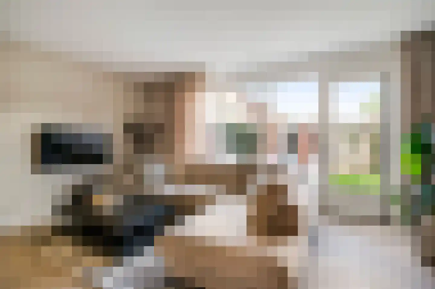 Vestesingel 70 Herten thumbnail 12
