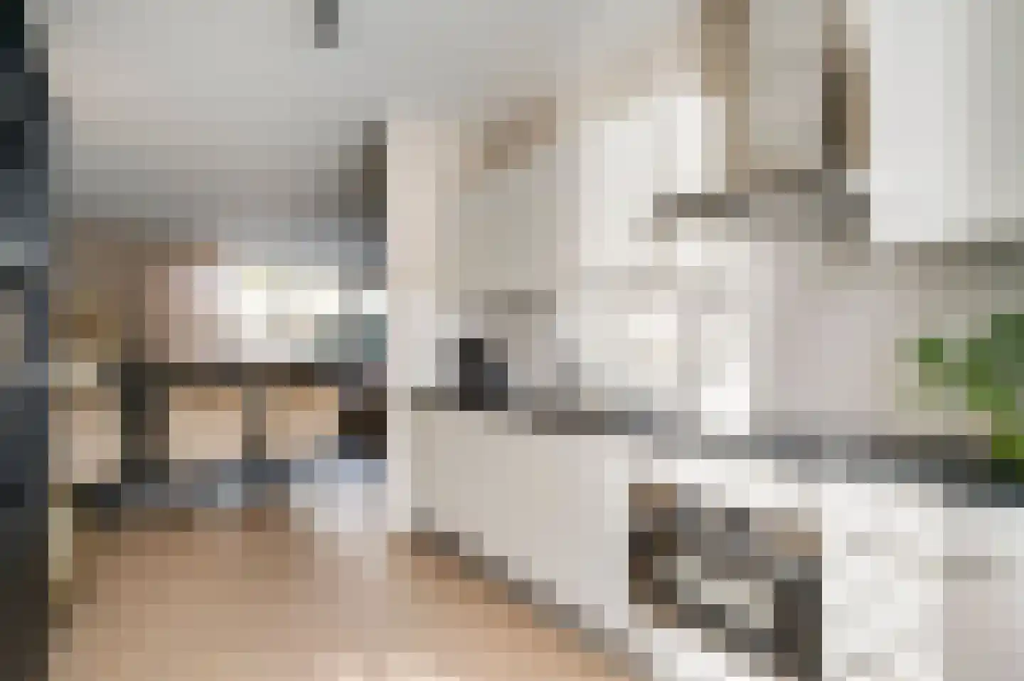 Vestesingel 70 Herten thumbnail 15
