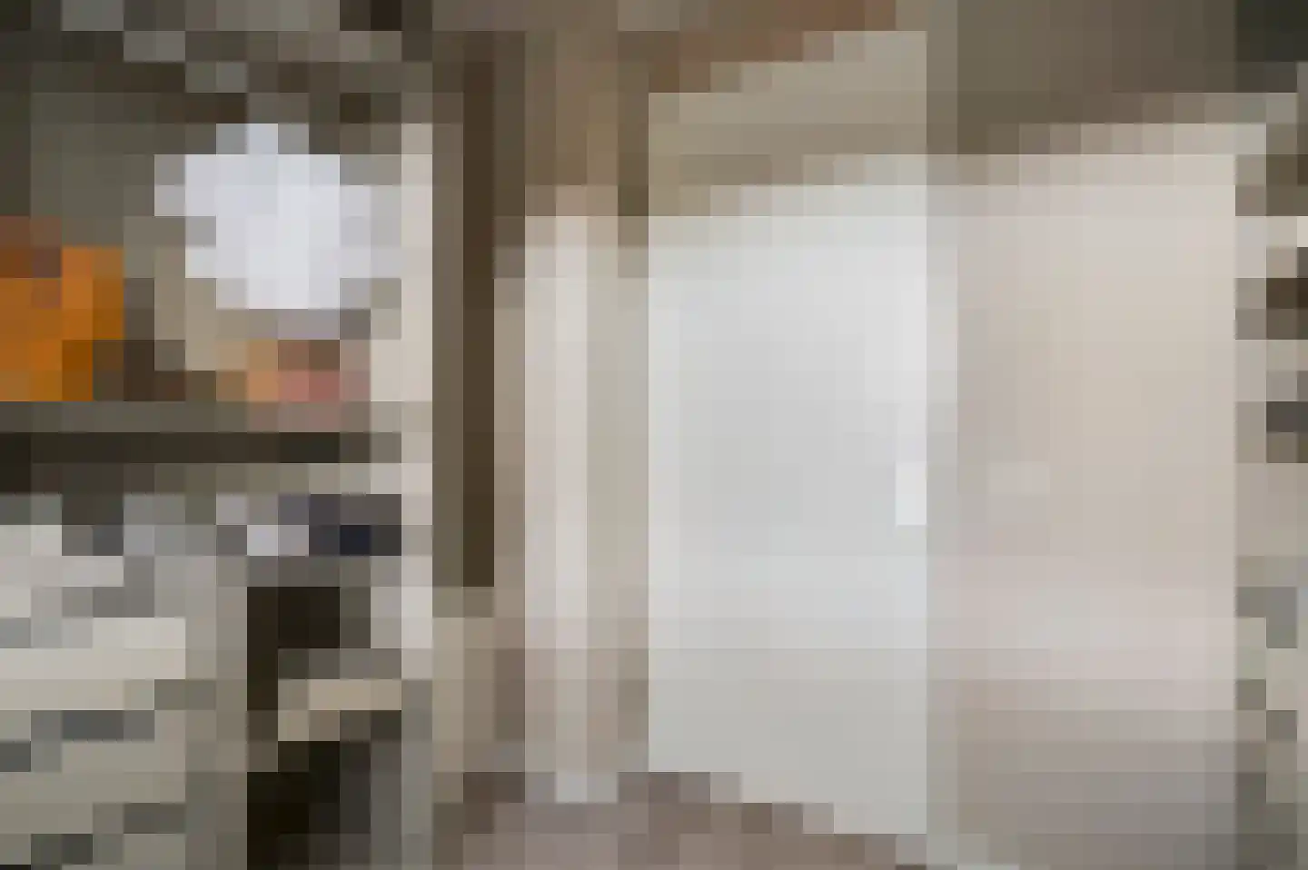 Vestesingel 70 Herten thumbnail 32