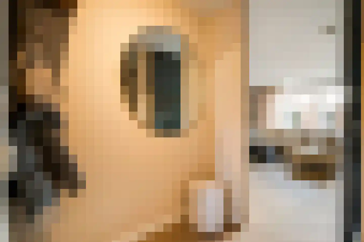 Vestesingel 70 Herten thumbnail 5