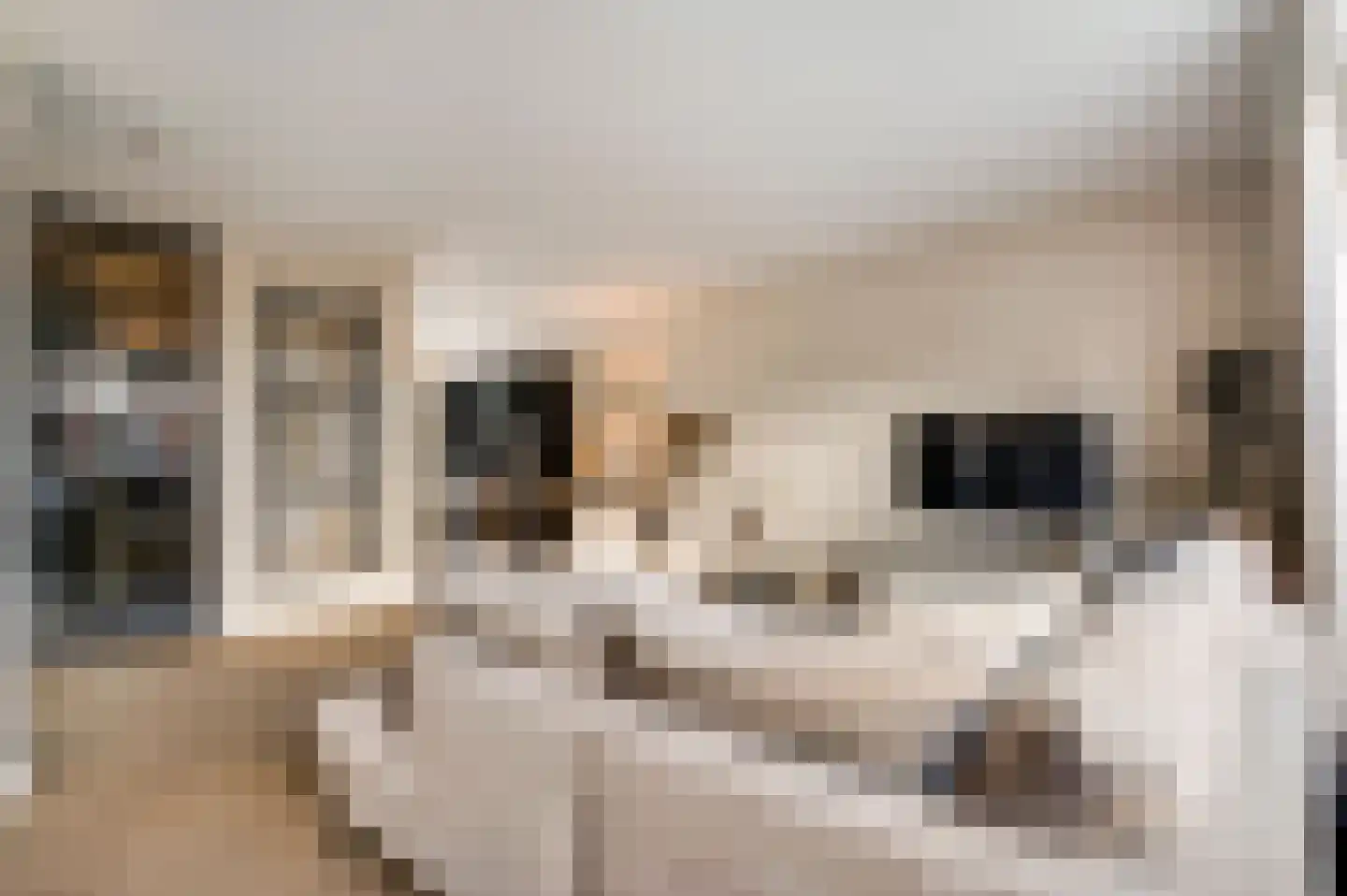 Vestesingel 70 Herten thumbnail 5