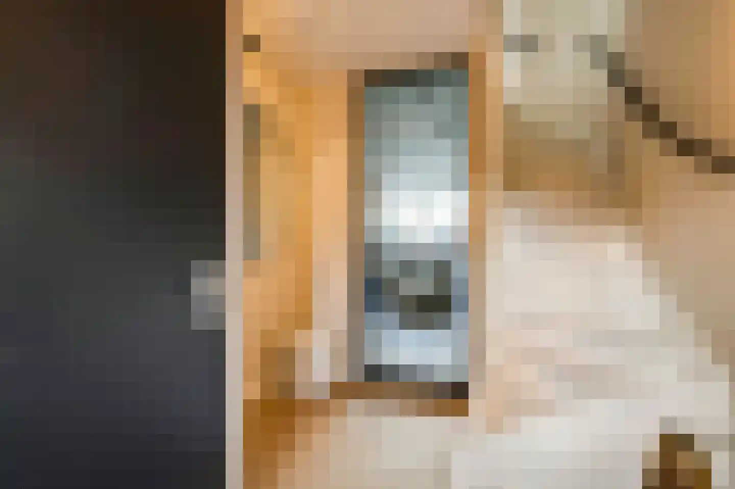Vestesingel 70 Herten thumbnail 7
