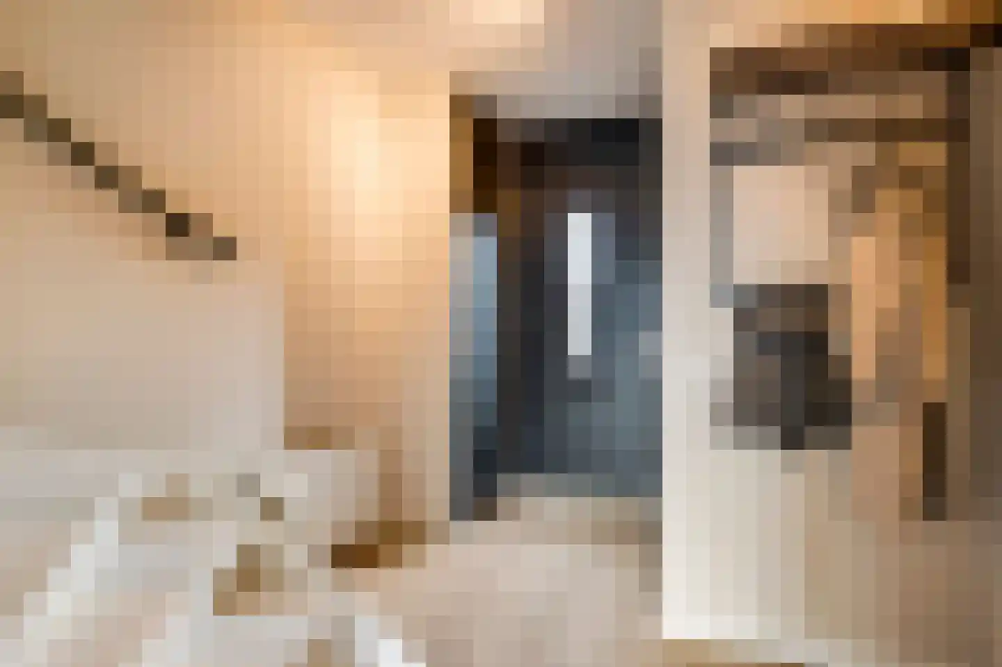 Vestesingel 70 Herten thumbnail 8