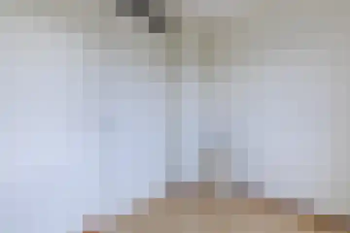 Vestesingel 76 Herten thumbnail 20