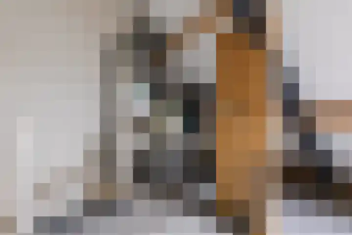 Vestesingel 76 Herten thumbnail 25