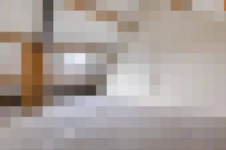 Vestesingel 76 Herten thumbnail 26