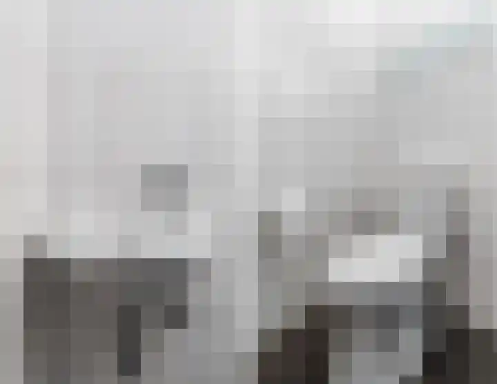 Vestesingel 76 Herten thumbnail 4