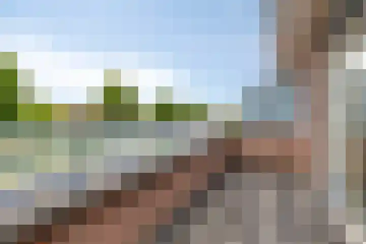 Vestesingel 84 Assen thumbnail 24