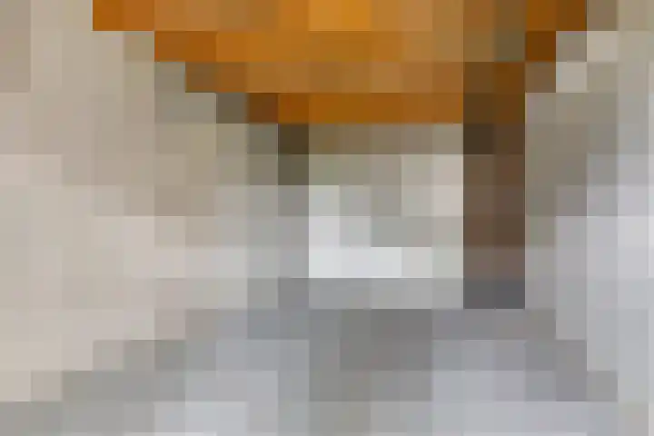 Vestesingel 84 Assen thumbnail 30
